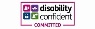 DS logo